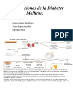 Clase 2 Complicaciones de La DM