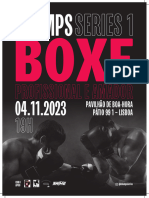 Boxe A3 2