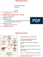 Metabolismul Fe