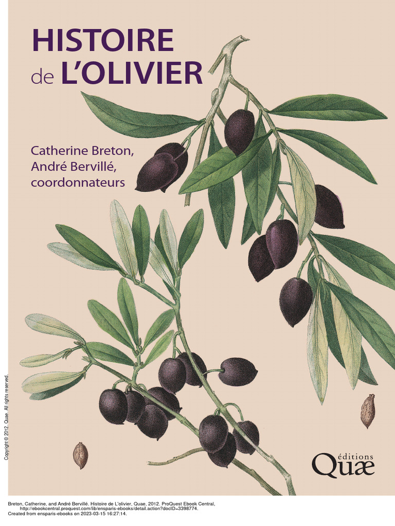 Histoire de L'Olivier, PDF, Huile d'olive