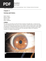 Cornea Duanes Ophthalmology 2337 2337