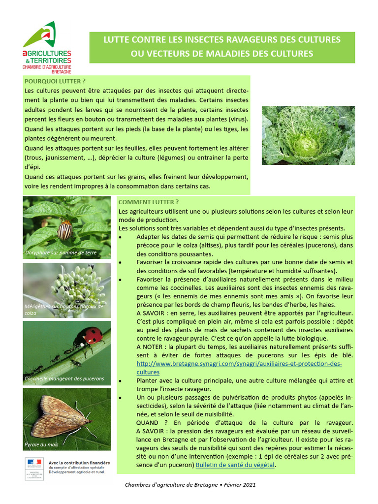 Lutte contre les insectes ravageurs des cultures | PDF | Insectes ...