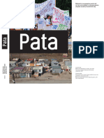 Pata