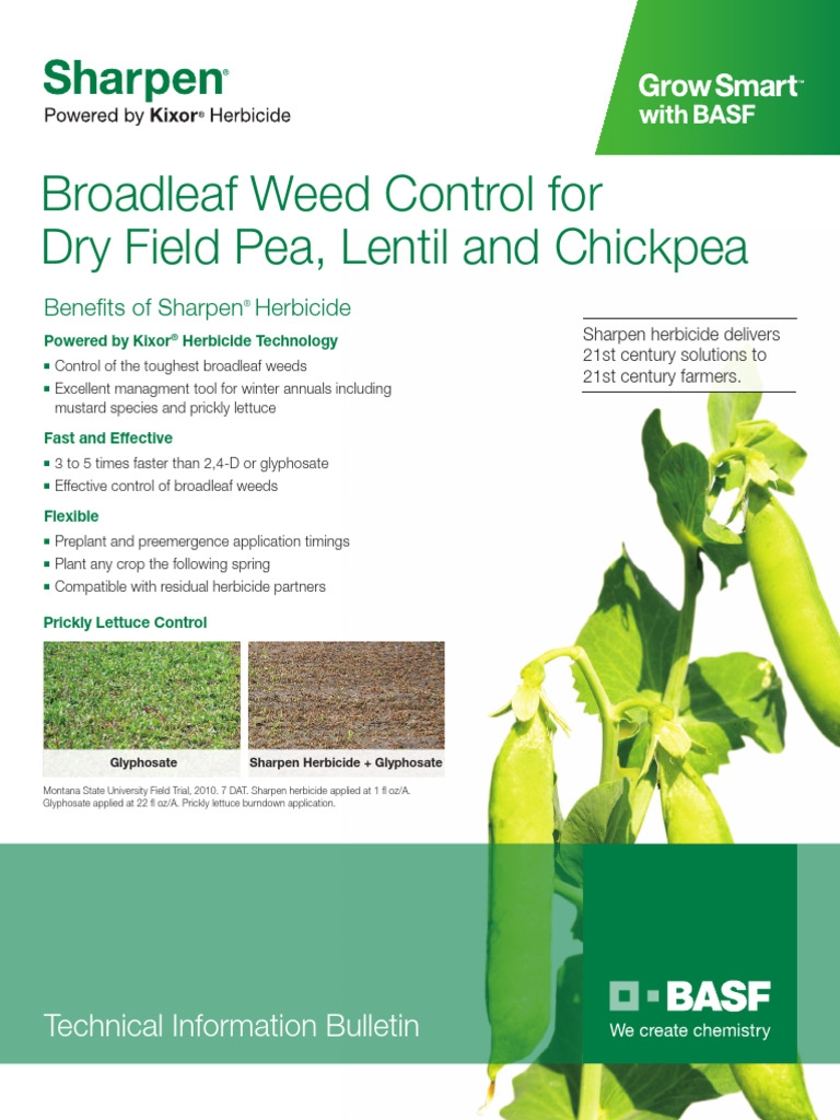 BASF TechBulletin Sharpen Pulse Medres | PDF | Herbicide | Agriculture