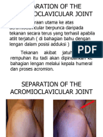 Anatomi Lengan Dan Bahu