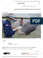 Dead Whale Found in Indonesia With More Than 1,000 Plastic Pieces in Its Stomach - London Evening Standard - Evening Standard