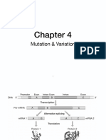 Evolution - Chapter4 Mutation & Variation