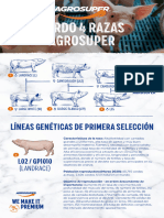 Agrosuper - 4-BREED ES Compressed