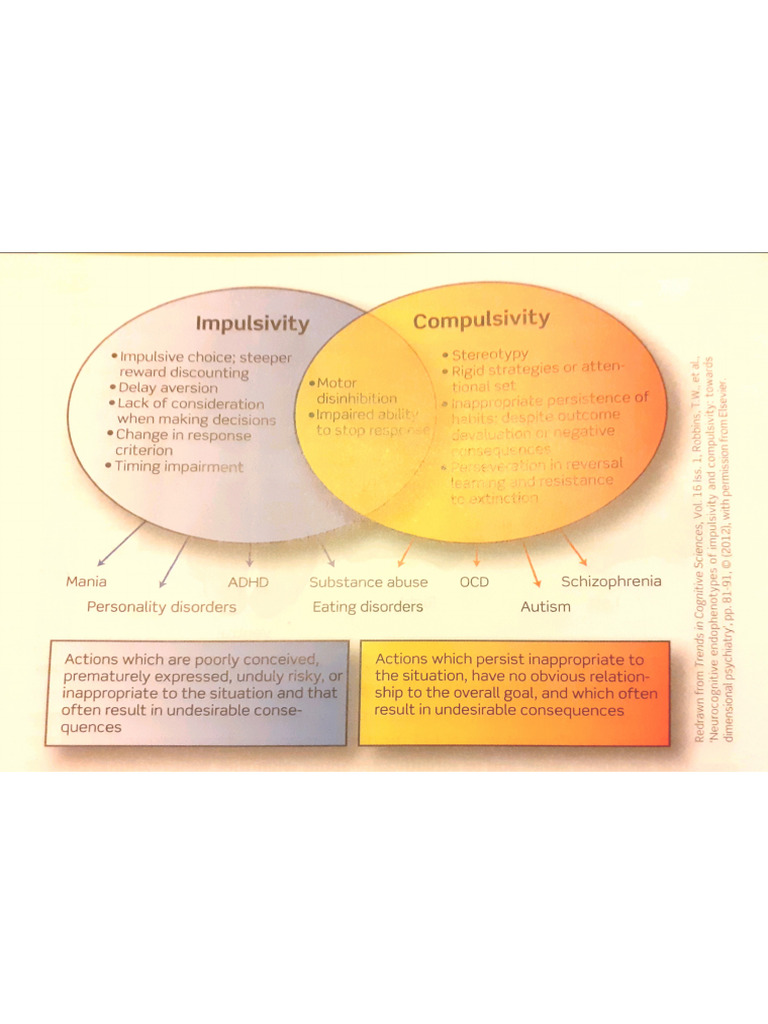 Impulsivity Vs Compulsivity | PDF
