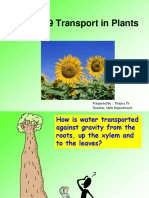 Transportation in Plants 1