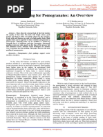 Fruit Grading For Pomegranates An Overview IJERTCONV6IS03002