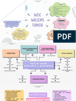 Mind Mapping Willems Tumor