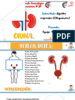 Orina-Eq. 4 (Liq. Corporales)