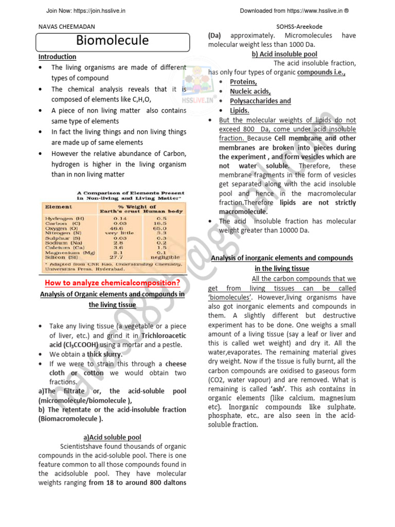 Zoology 04Biomolecule 2023 Notes PDF Enzyme Nucleotides
