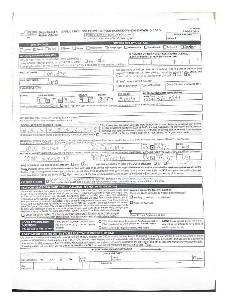 Motor Vehicles | PDF
