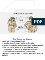 Endocrine