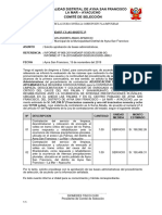 Informe Comite Seleccion