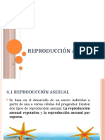 Biología Reproduccion Asexual