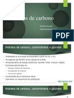 3-Hidratos de Carbono