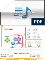 7-Acidos Nucleicos