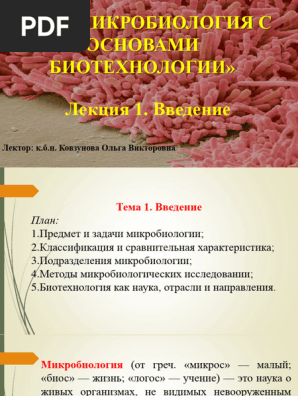 Lekcziya 1 Vvedenie | PDF