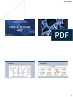 Caracterização Molecular de Microrganismos RAPD RFLP AFLP e PFGE