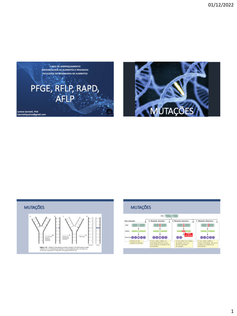 Técnicas de Análise de DNA: PFGE, RFLP, RAPD, AFLP | PDF | Reação em ...