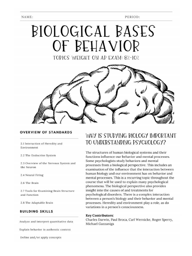 AP Psychology: Biological Bases Guide | PDF | Nervous System | Neuron
