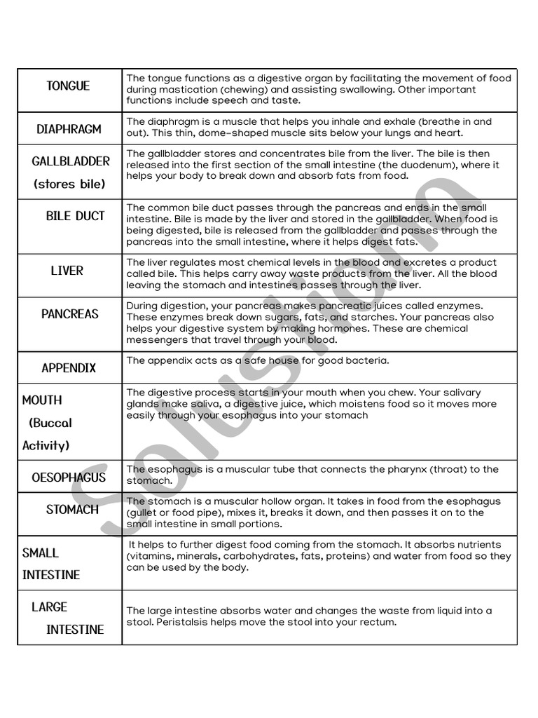 Digestive System Parts and Functions | PDF | Human Digestive System ...