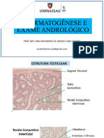 Espermatogenese e Exame Andrologico