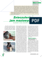 Znieczulenia Jam Maziowych KULAWIZNY U KONI. PODSTAWY DIAGNOSTYKI - CZ. IV