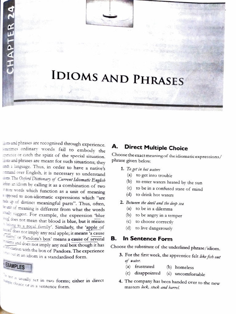 Idioms and Phrases | PDF | Idiom