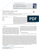 Targeting Apoptosis Caspases in Cancer