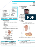 OTO.S1.L06a.ORAL CAVITY DISEASES (CD)