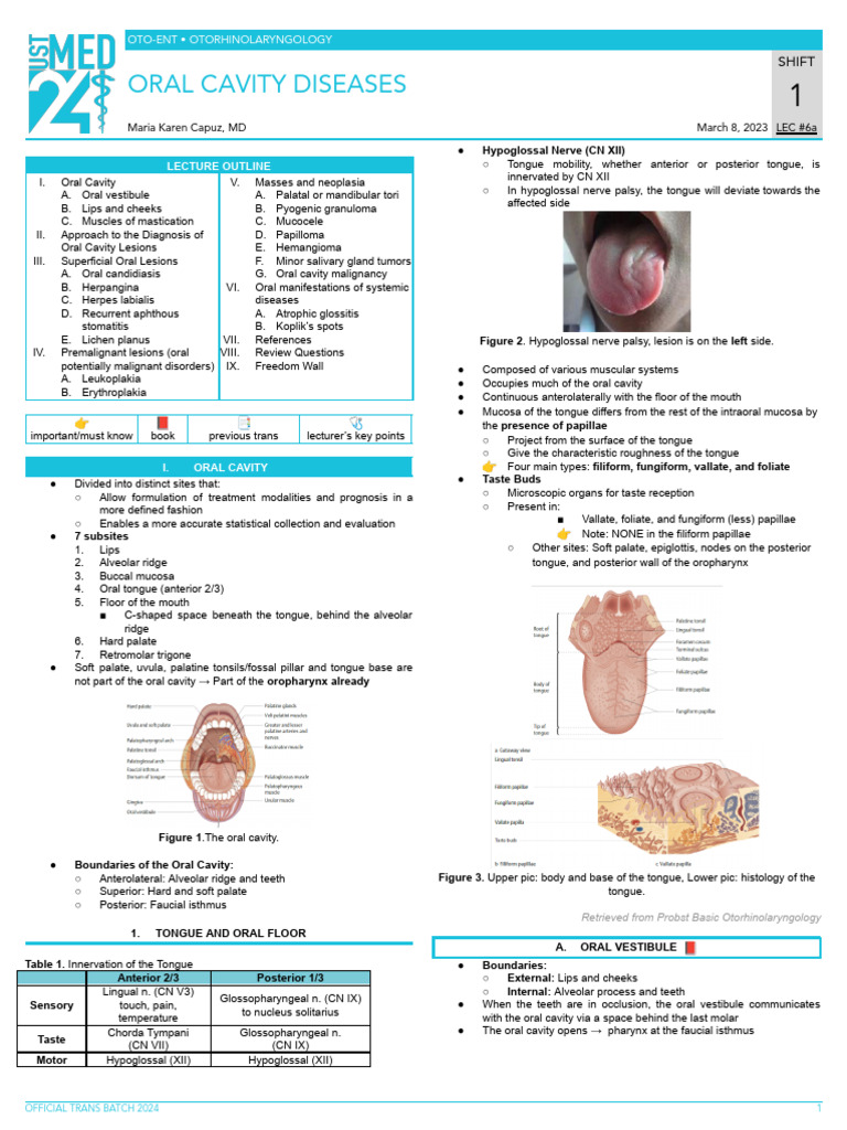OTO.S1.L06a.ORAL CAVITY DISEASES (CD) PDF Tongue Causes Of Death