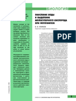 Oxidation of Water and Oxygen Release in Photosynthesis: V. V. Klimov