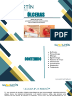 Ulceras PDF