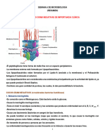 Semana 8 Microbiología