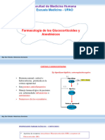 Clase 6 Teorica de Anestesicos Generales Local Glucocorticoides