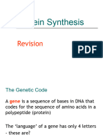 Protein Synthesis Revision