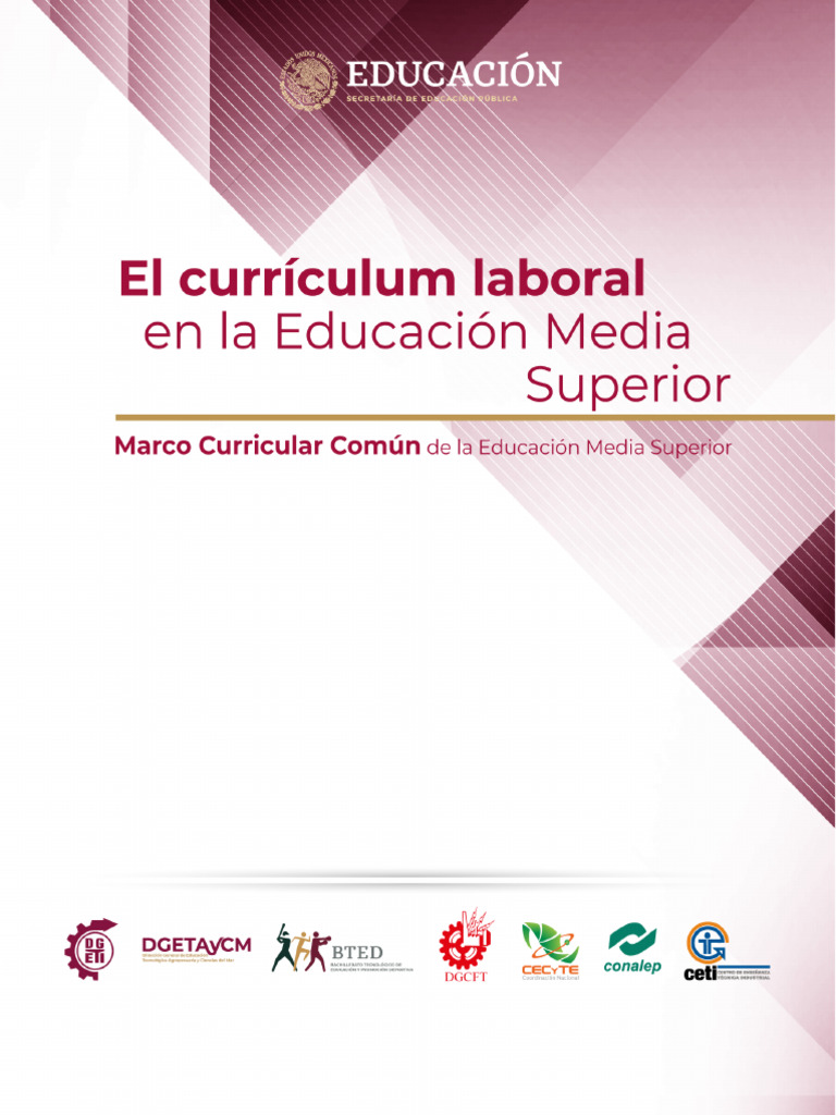 Rediseño del Currículum Laboral | PDF | Plan de estudios | Aprendizaje