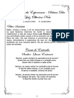 Luiz Oliveira Neto PDF