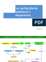 Copia de Nutrición Animal 2 (A)