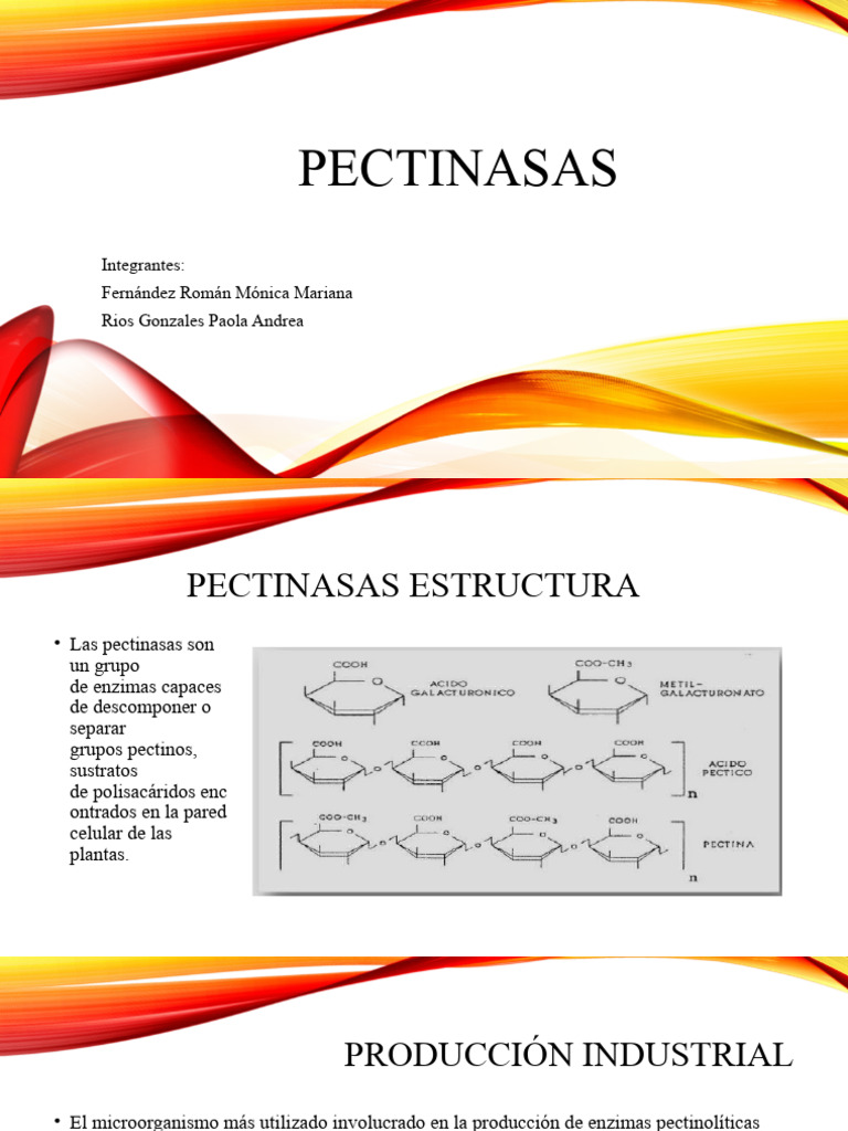 PECTINASAS | PDF | Sustancias químicas | Ciencias fisicas