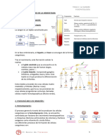 Fisiopatologia t1