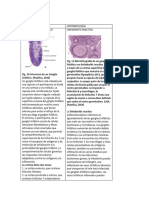 Histologia