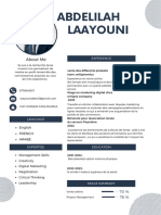 Blue Professional Modern CV Resume