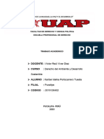 TRABAJO ACADEMICO - Derecho Ambiental