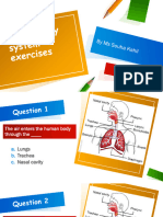 Respiratory System Exercises