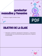 Sistema Reproductor Masculino y Femenino